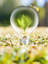 驚！！一只長頸鹿為人類認識高血壓所做的貢獻